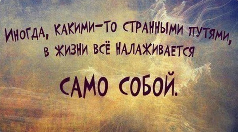жизнь налаживается